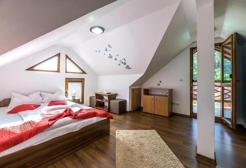 Pensiunea Casa Loloiu