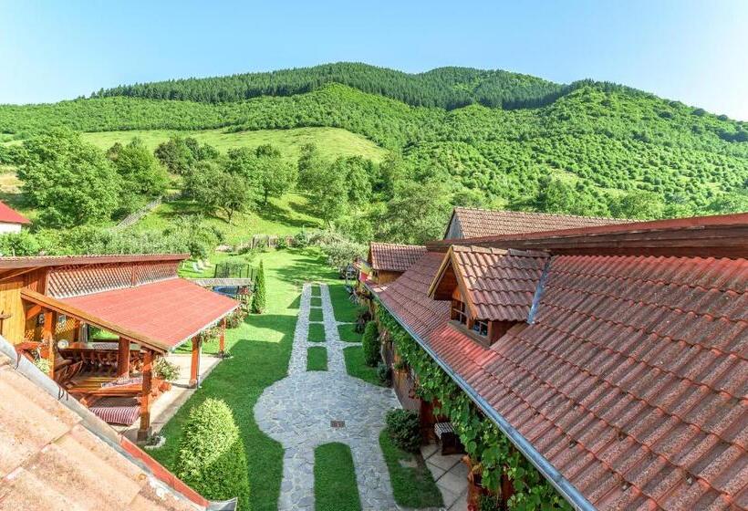 Pensiunea Casa Loloiu