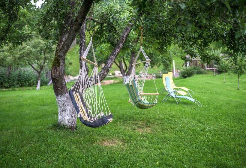 Pensiunea Casa Loloiu