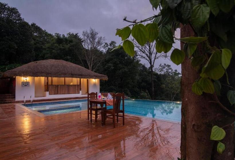 渡假胜地  Trishvam Tapovana