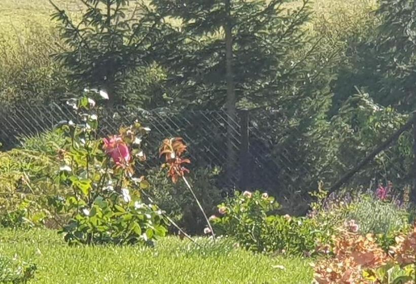 אתר נופש Wellness Beskydy