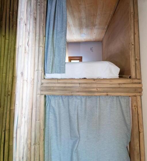 Roctopus Dive Center And Hostel