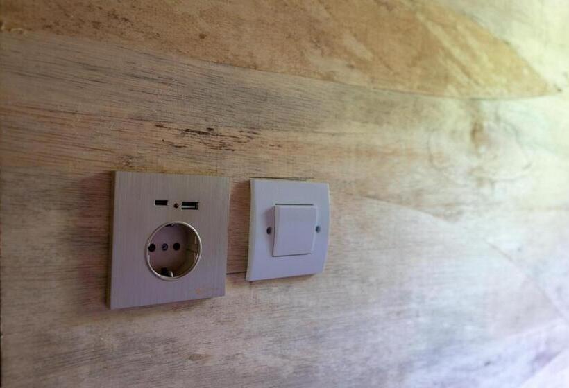 Roctopus Dive Center And Hostel