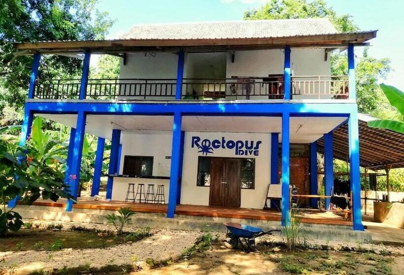 Roctopus Dive Center And Hostel