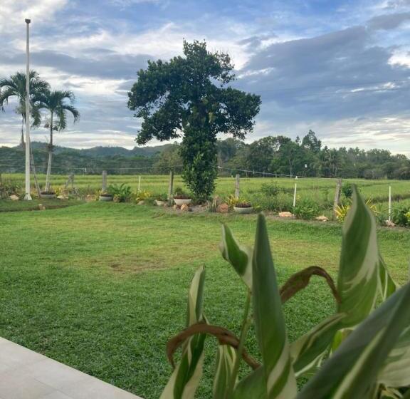 The Eliana Farm Resort And Villas