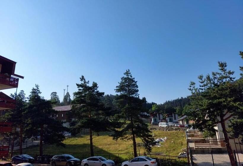 Bakuriani Inn Apartment #13