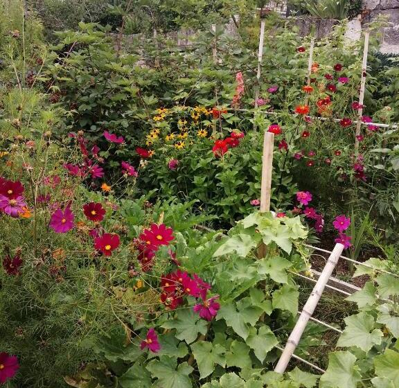 住宿加早餐  Au Logis De Véchillot