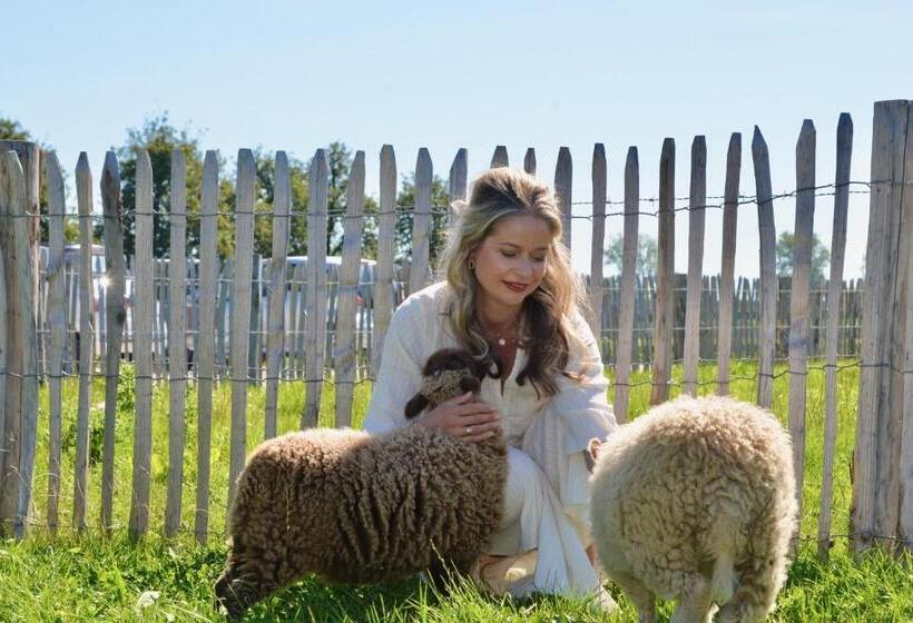 ベッドアンドブレックファースト Bedje In De Polder