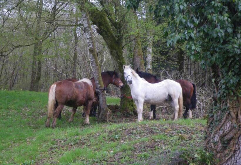 مبيت وإفطار Chambre Triple Du Grand Sapin