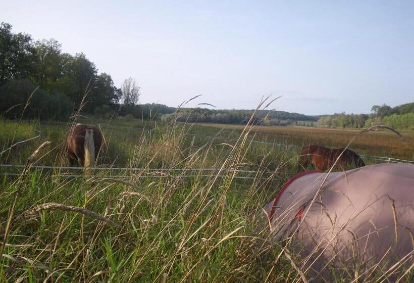 مبيت وإفطار Chambre Triple Du Grand Sapin