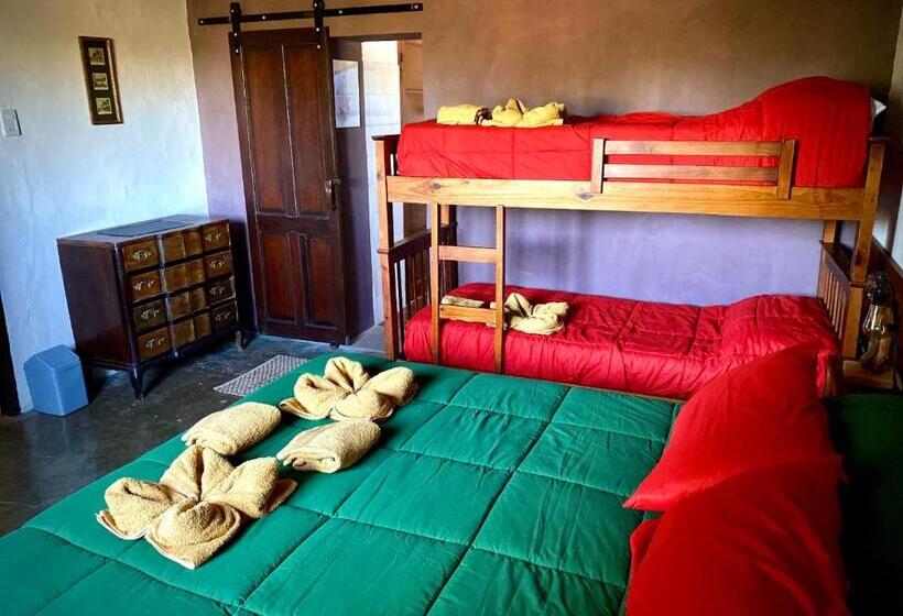 住宿加早餐  El Cortijo Tinogasta