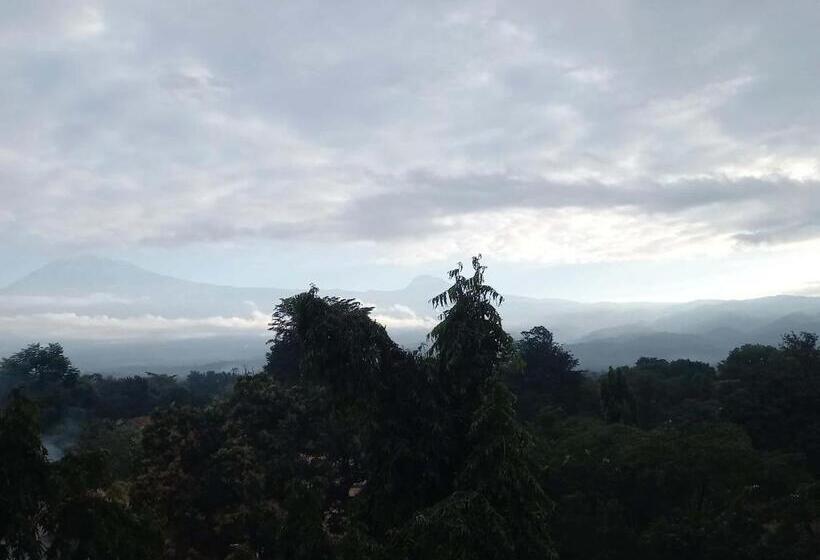 住宿加早餐 Hilton Hil Mountain View