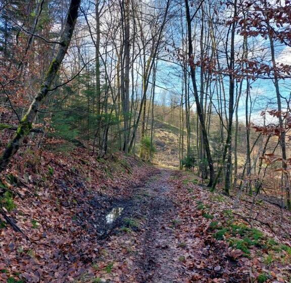 Bed and Breakfast La Cour De Grandmenil