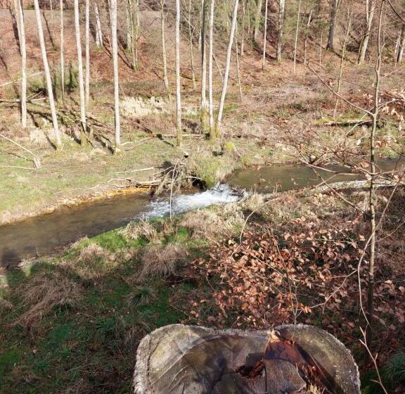 Bed and Breakfast La Cour De Grandmenil