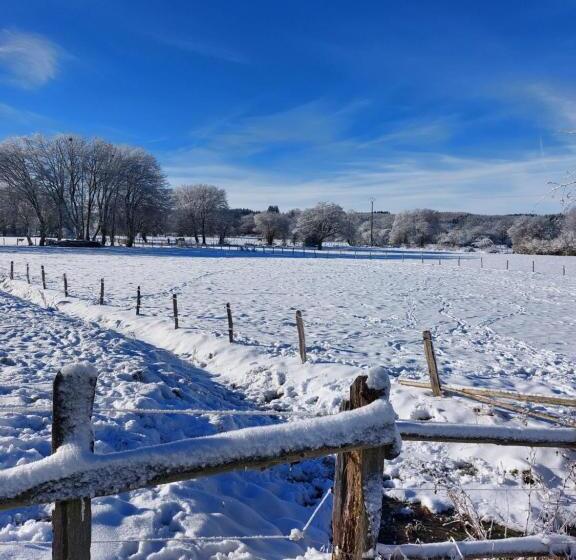 Bed and Breakfast La Cour De Grandmenil