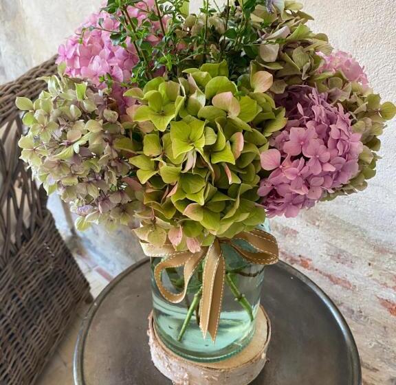 Bed and Breakfast Les Hortensias