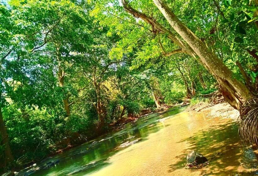 مبيت وإفطار Pam Land Eco Safari Resort