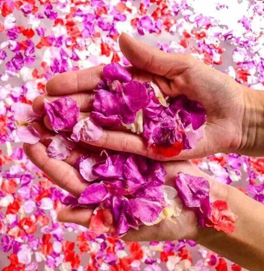 مبيت وإفطار Nusa Villa