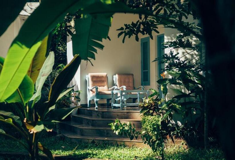 تختخواب و صبحانه Paddlecult Surf Retreat