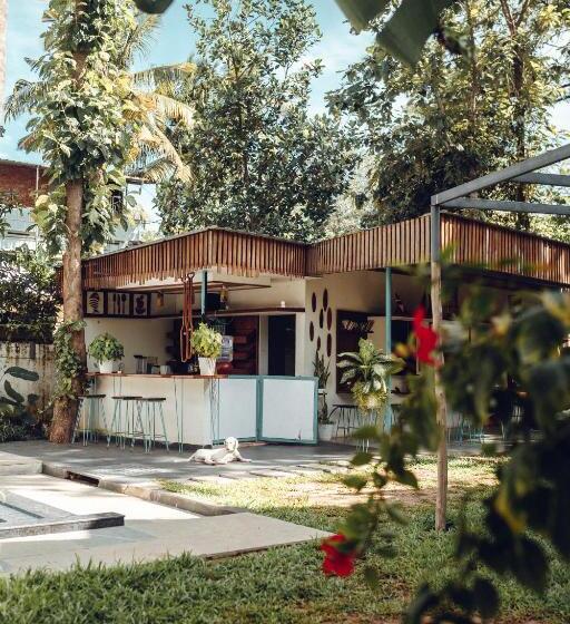 تختخواب و صبحانه Paddlecult Surf Retreat