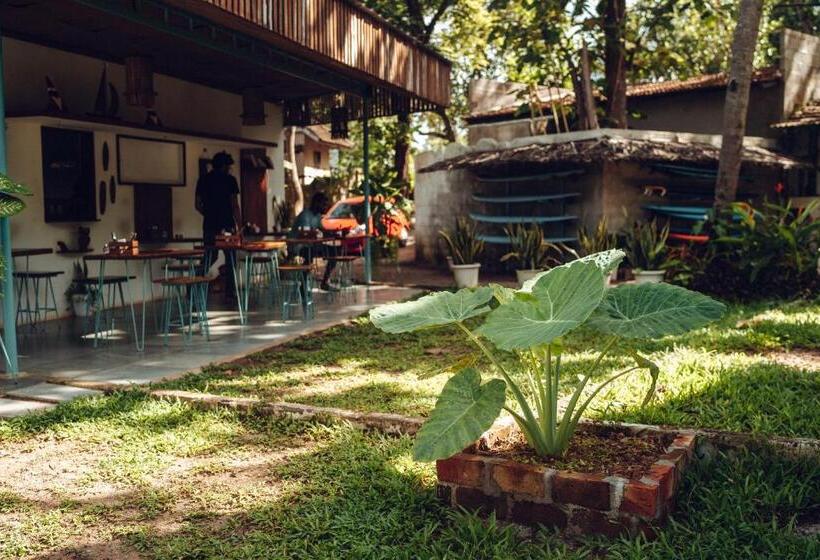 تختخواب و صبحانه Paddlecult Surf Retreat