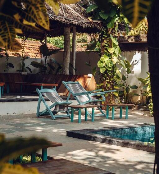 تختخواب و صبحانه Paddlecult Surf Retreat