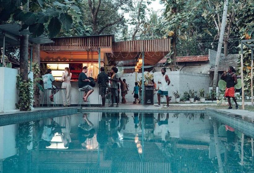 تختخواب و صبحانه Paddlecult Surf Retreat