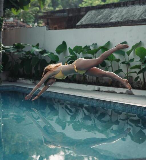 تختخواب و صبحانه Paddlecult Surf Retreat