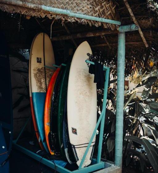 تختخواب و صبحانه Paddlecult Surf Retreat