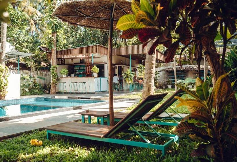 تختخواب و صبحانه Paddlecult Surf Retreat