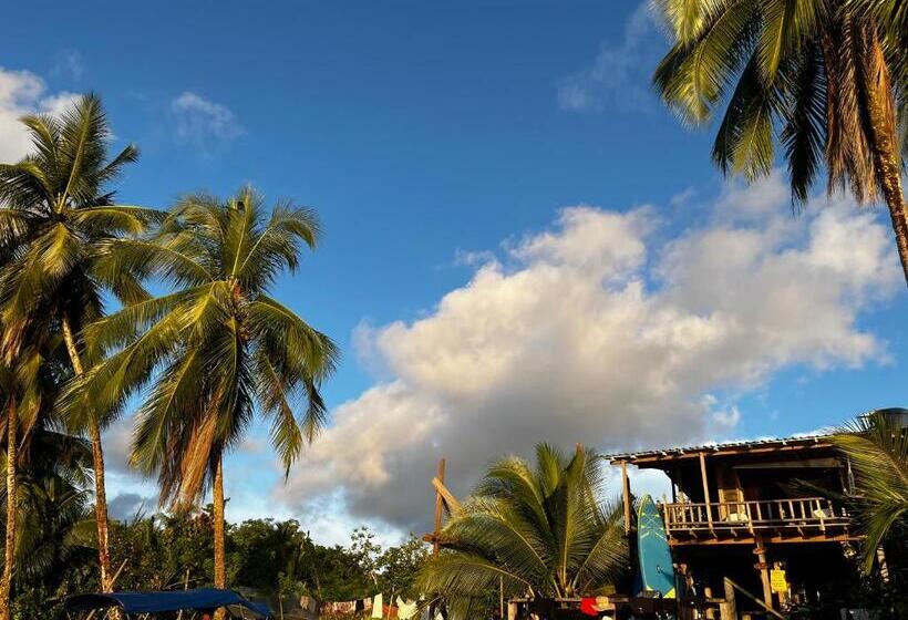 Отель Cabaña Tellin