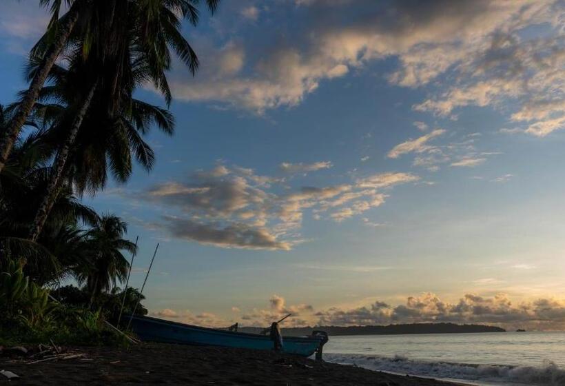 Отель Cabaña Tellin