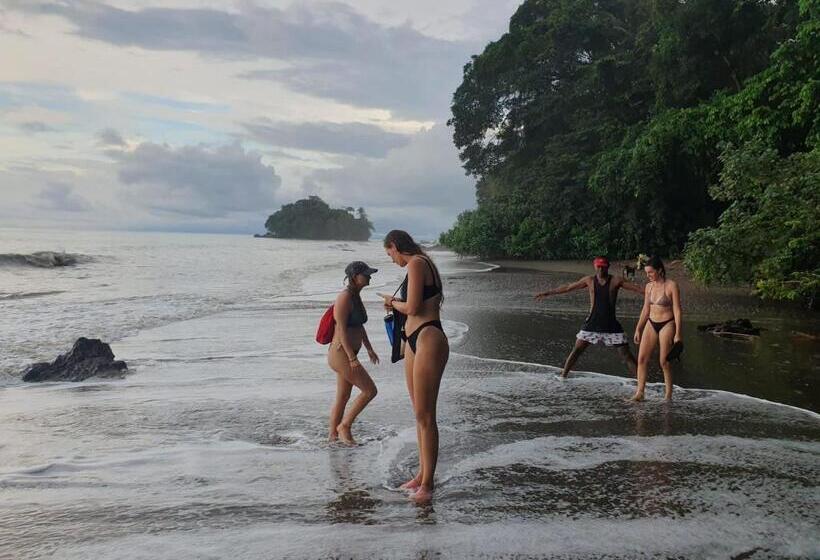 Отель Cabaña Tellin