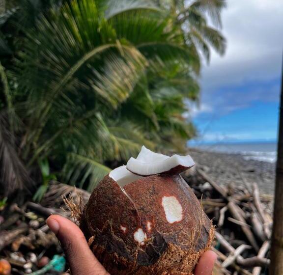 Отель Cabaña Tellin