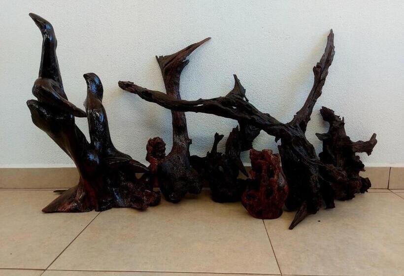 ホテル Casa Pal’mar