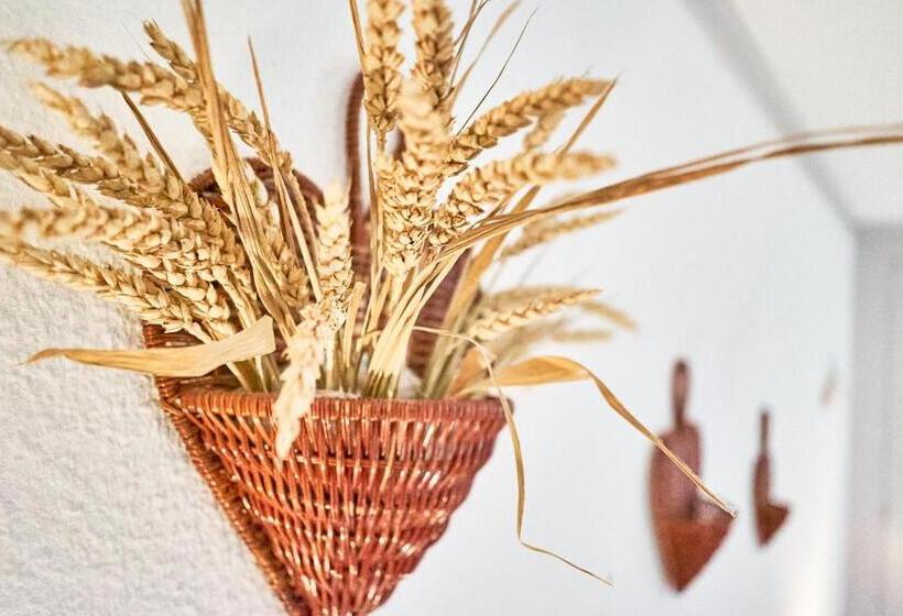 בית מלון כפרי Doppelzimmer Mit Terrasse