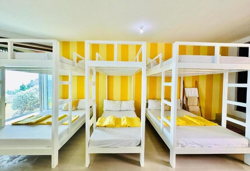 בית מלון כפרי Dreamland Paradise Resort