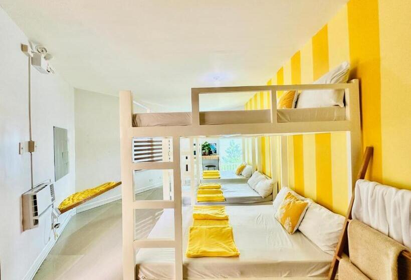 בית מלון כפרי Dreamland Paradise Resort