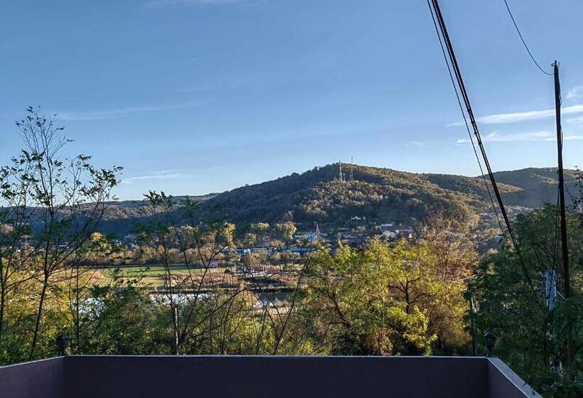 Отель Pensiunea Stejarul