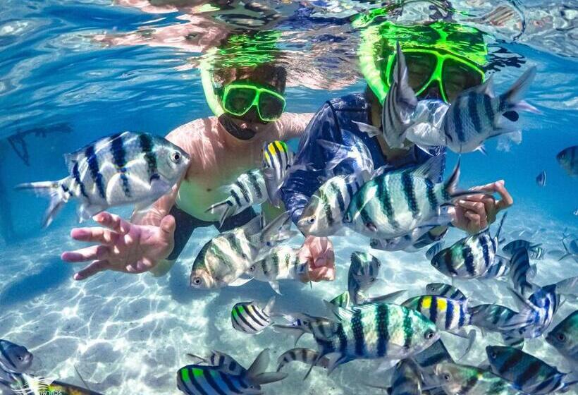 فندق Phupa Beach Resort