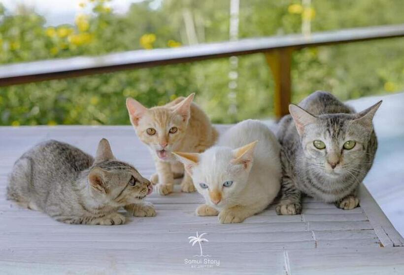 בית מלון כפרי Sz Samui Glamping