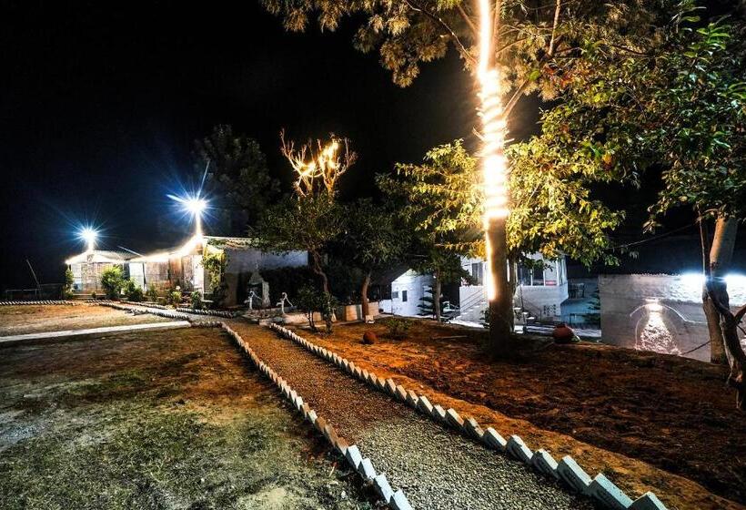 酒店 The Forest Lake View Resort