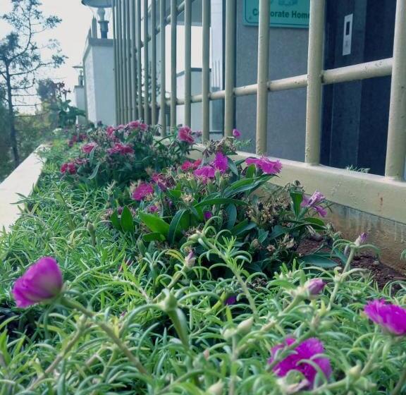 酒店 Zions Airport