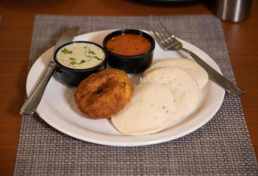 酒店 Zions Airport