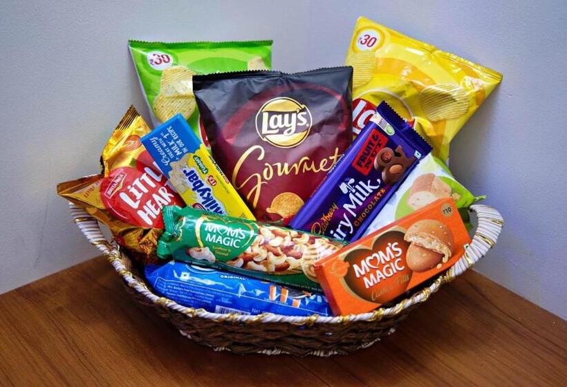 酒店 Zions Airport