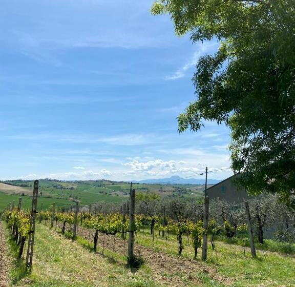 L Antica Colombaia; B&b Room With Private Terrace