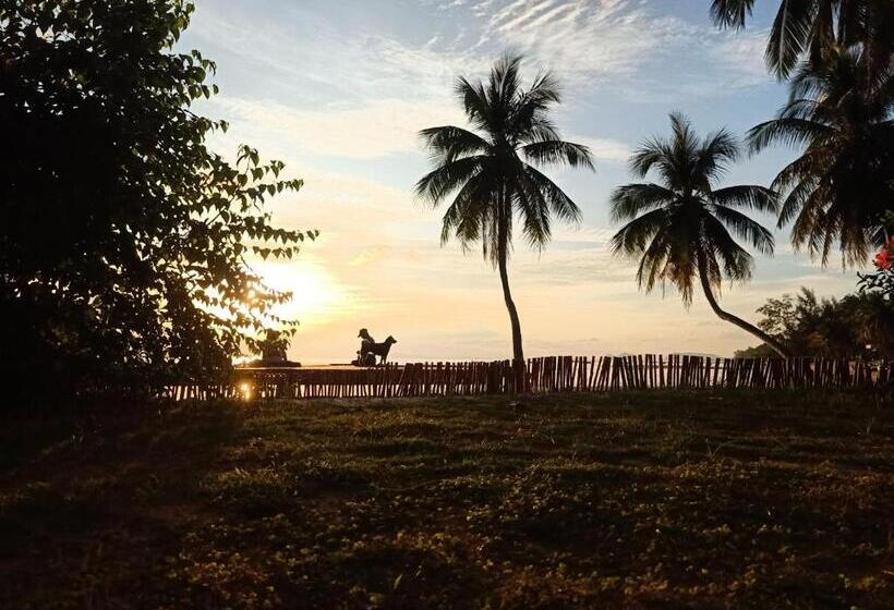 Last Hammock Beach Resort