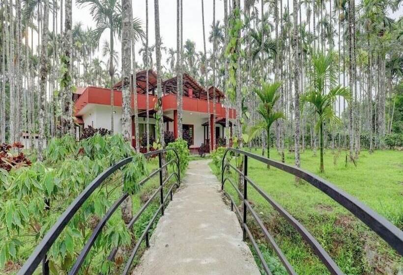 Lazo Areca Resort