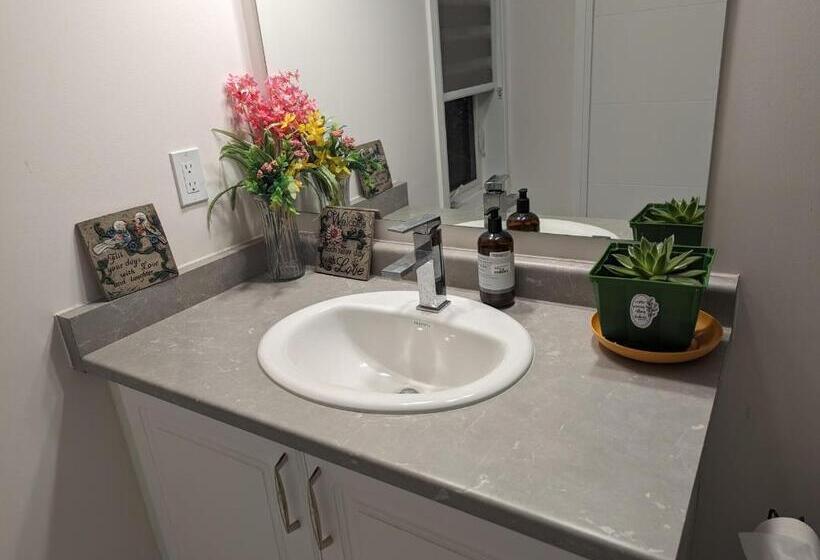 بنسيون Bright Room Full Of Love And Warmth