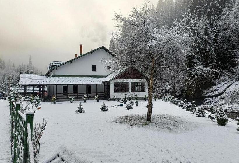 膳宿费 Cabana Bratei